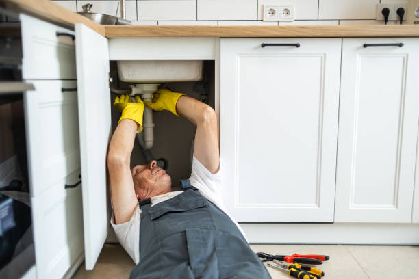 Best Plumbing Installation Services  in Petersburg, IL