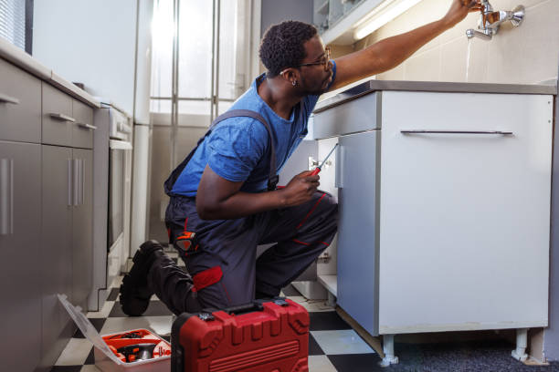 Best Drain Cleaning Services  in Petersburg, IL